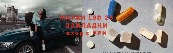молекула духа Новозыбков