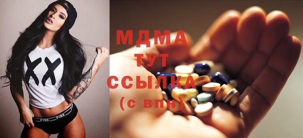 молекула духа Новозыбков
