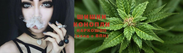 молекула духа Новозыбков