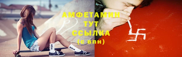 молекула духа Новозыбков