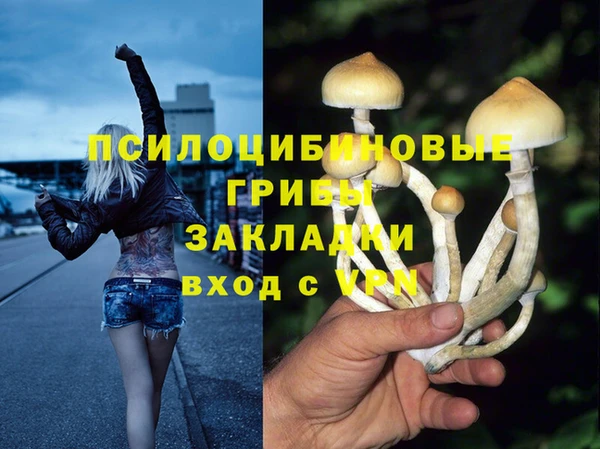 молекула духа Новозыбков