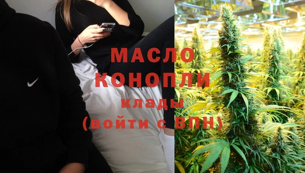 гидра Новодвинск