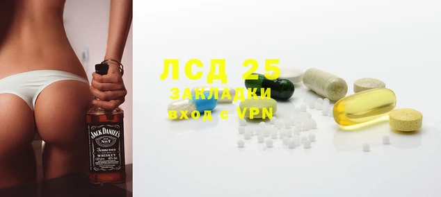 молекула духа Новозыбков