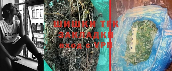 гидра Новодвинск
