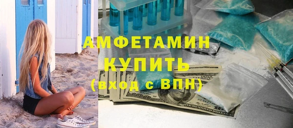 молекула духа Новозыбков
