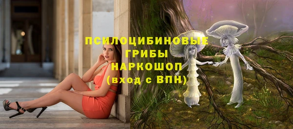гидра Новодвинск