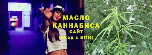 гидра Новодвинск