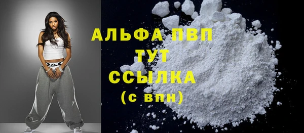 молекула духа Новозыбков