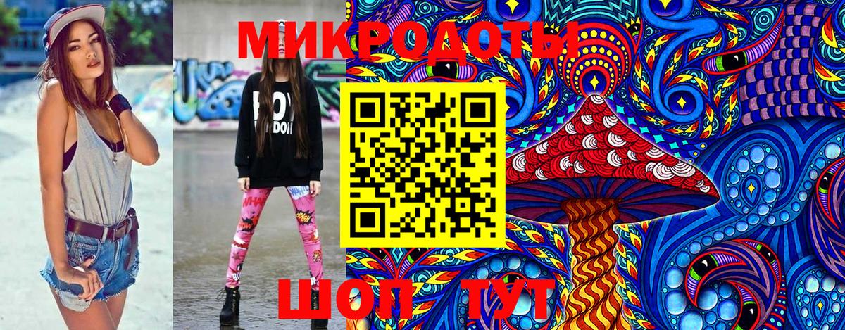 Псилоцибиновые грибы прущие грибы  Кропоткин  Галлюциногенные грибы ЛСД 