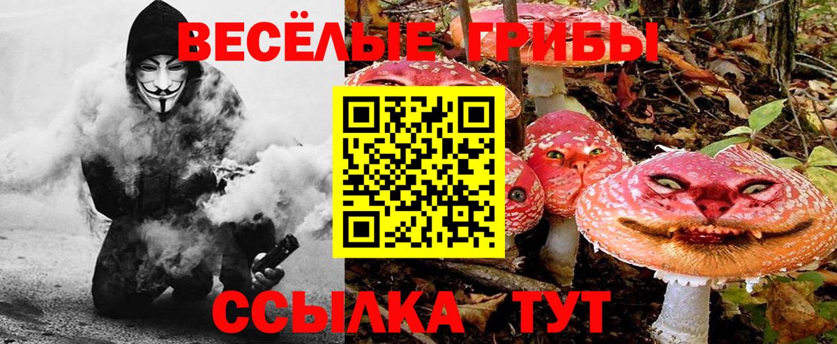 Кропоткин  Канабис  ГАШИШ  Меф кристаллы  Вход с VPN  Гашиш  Кокаин 