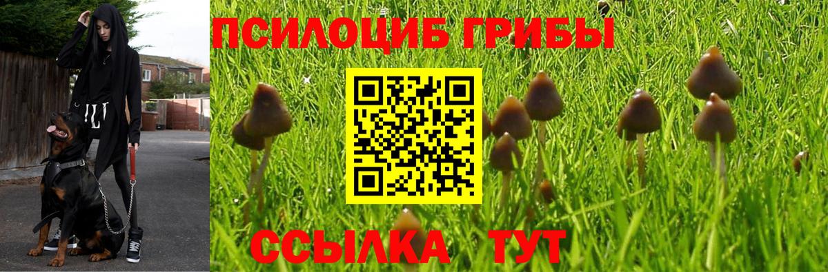Псилоцибиновые грибы ЛСД Кропоткин